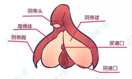 图片alt