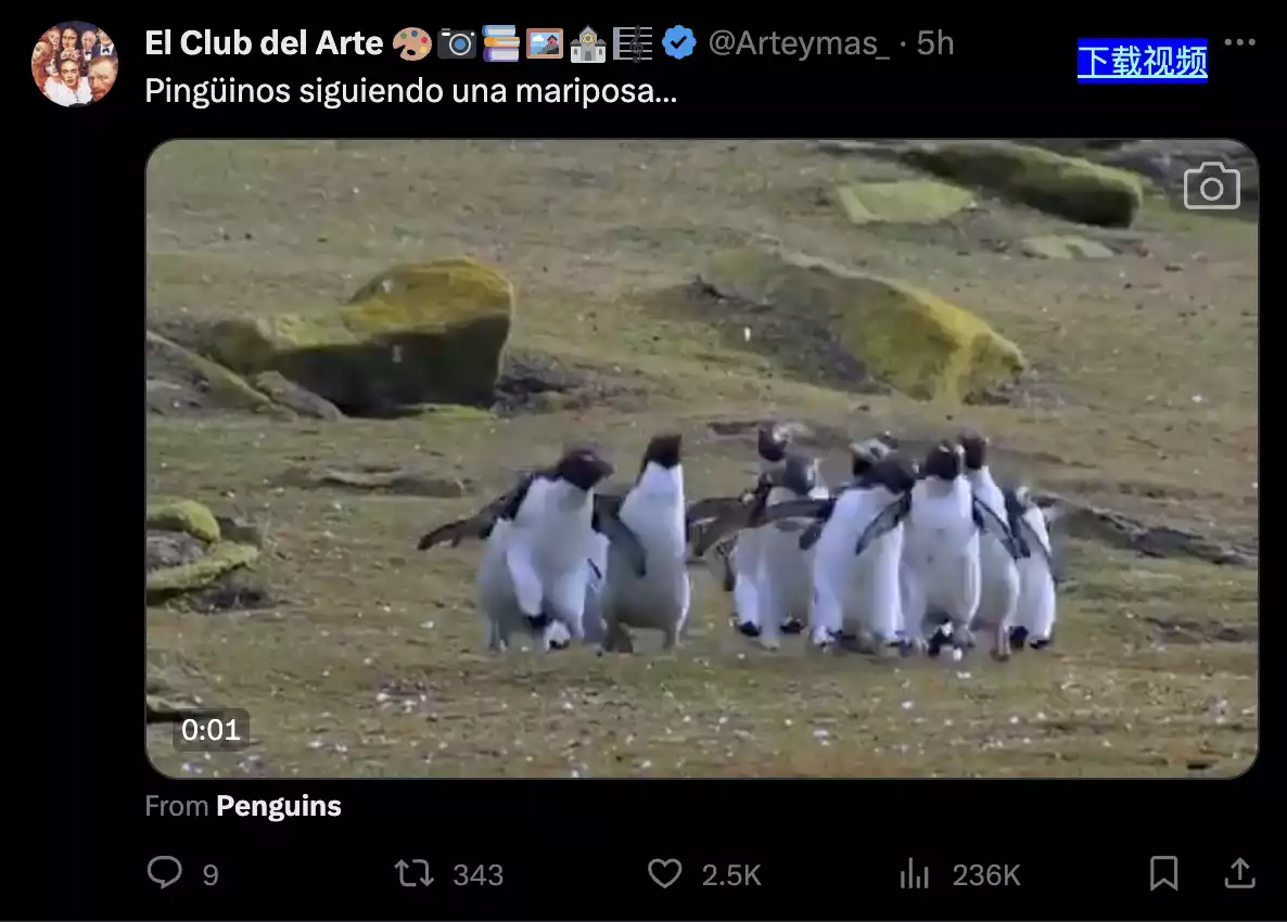 图片alt