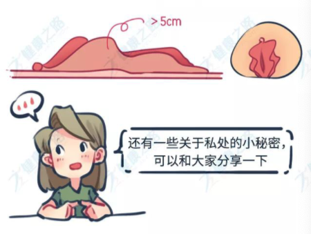 图片alt