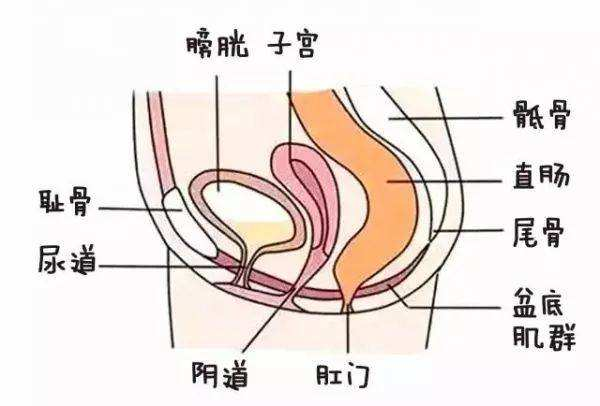 图片alt