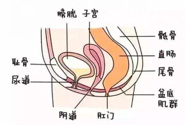 图片alt
