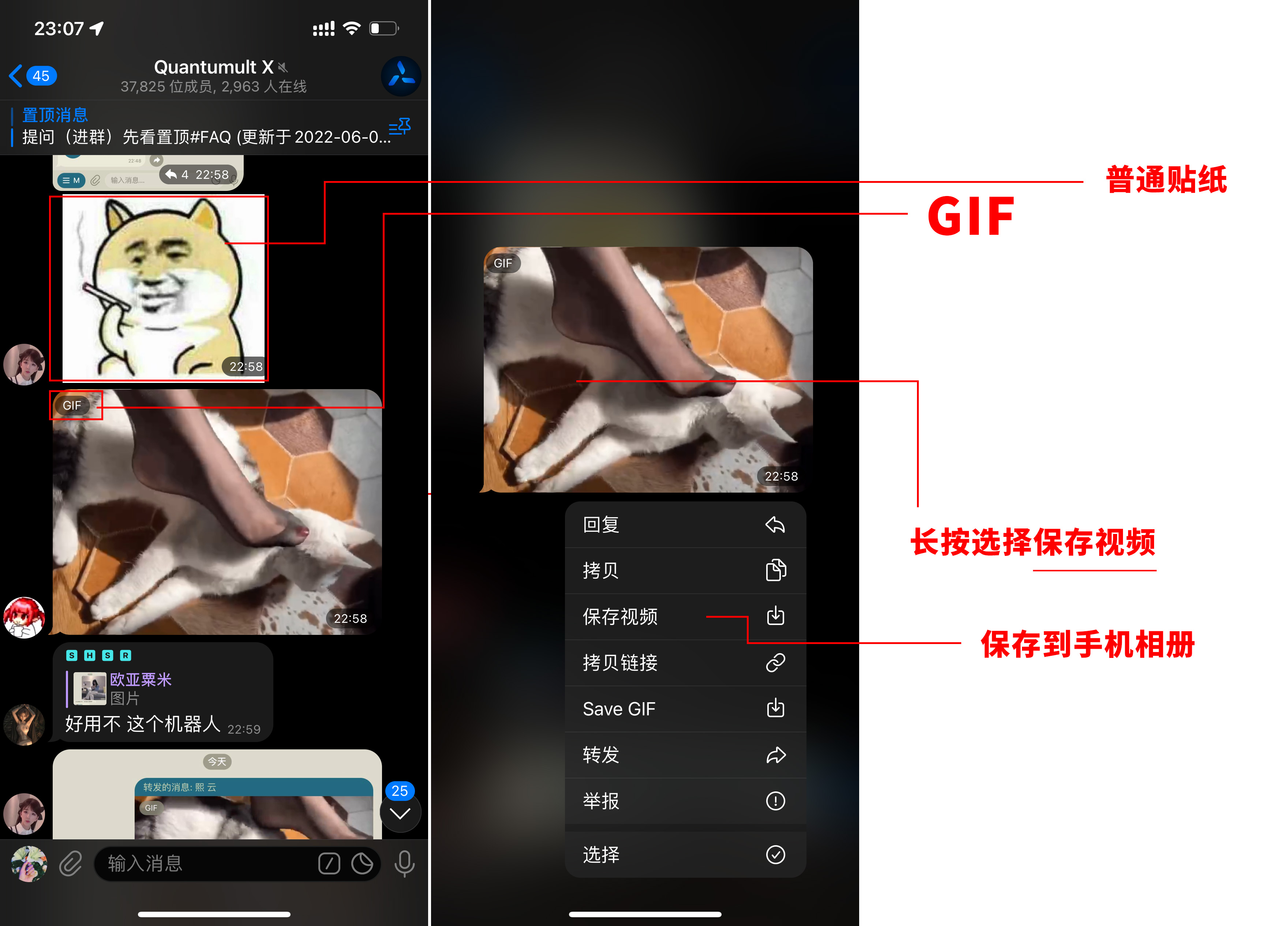 图片alt
